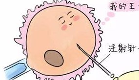 临安正规试管医院有哪些？这三家值得推荐