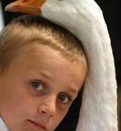 试管促排促排卵卵泡大小揭秘，附女性试管促排卵卵泡合格标准